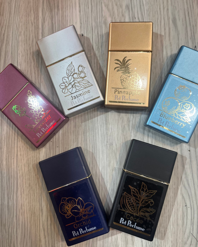 عطر مخصوص سگ و گربه حجم 30 میلی لیتر رایجه به صورت رندوم